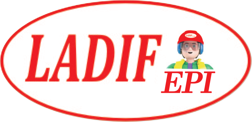 Logo Ladifi Groupe EPI